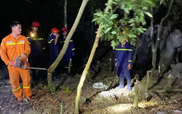 Cháy rừng tại Hà Nam suýt đe dọa đường dây 500kV, cơ bản dập tắt đám cháy