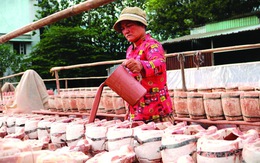 Nhớ xóm Lò Gốm, xóm thủy tinh ở Chợ Lớn