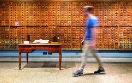 Câu chuyện của thủ thư: Tìm kiếm trật tự trong thế giới hỗn loạn