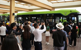 Xe điện miễn phí cho du khách đến với đảo Cát Bà