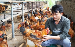 Thanh niên chung tay, gần 2.000 sản phẩm OCOP lên sàn thương mại điện tử