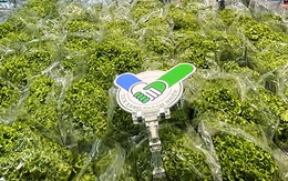 TP.HCM: Sẽ có thêm cơ chế để thúc đẩy chương trình kiểm soát chất lượng hàng hóa