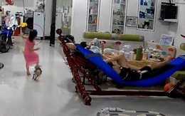 Bé gái giận dữ khi bị chó con rượt đuổi