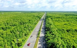 Đô thị lấn biển Cần Giờ: Từ 'góc kẹt' thành điểm hội tụ, thúc đẩy giao thông chiến lược