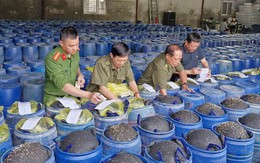 Lại phát hiện thực phẩm bẩn: Công an Nghệ An bắt 4 người sản xuất 3.500 tấn giá đỗ 'ngậm' hóa chất