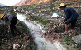 1,4 tỉ người sống ở nơi bị nhiễm kim loại nặng