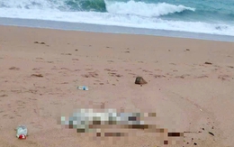 Thi thể nam không đầu trôi dạt vào bờ biển Phú Yên