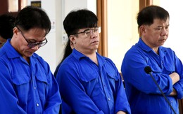 Lái xe của cựu trưởng trạm cảnh sát giao thông Suối Tre lãnh 9 năm tù