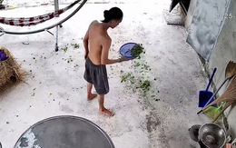 Chàng trai chán không buồn nói khi trổ tài vẩy rau