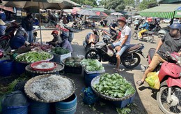 Bà nội trợ lo lắng sau vụ công an bắt 3.500 tấn giá đỗ ngâm hóa chất