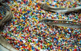 Lần đầu phát hiện vi nhựa trong dịch nang buồng trứng người