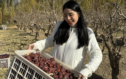 Gian hàng của Hằng Du Mục trên TikTok thu hơn 58 tỉ quý 1, ngay trước khi 'chủ' bị bắt