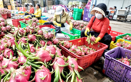 Tranh thủ Mỹ hoãn áp thuế, doanh nghiệp Việt đưa thêm giải pháp