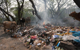 Kinh hoàng thị trấn ô nhiễm nhất thế giới: Dân mắc bệnh hàng loạt, rau trồng héo úa