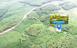 Nghệ An tạm dừng nghiên cứu làm nghĩa trang có lò hỏa táng '5 không'