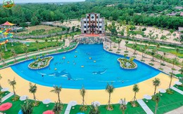 Vẻ đẹp núi Cấm tháng 4