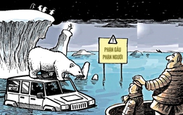 Biếm họa cười mà đau: Phận gấu lúc tan băng