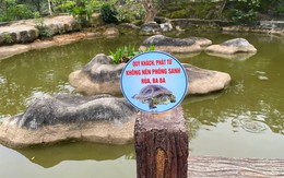 Chùa Linh Ứng treo biển: 'Không nên phóng sanh rùa'