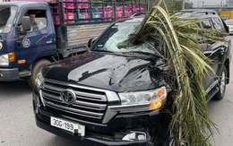 Xế hộp bị cây cọ đâm thủng kính chắn gió phía trước sau tai nạn giao thông