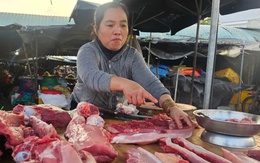 Heo giá tốt mà người nuôi vẫn còn lo lắng