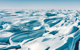 Những sự thật thú vị về Nam Cực ít người biết