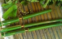 Ảnh vui 25-4: Phải có 'tuổi thơ dữ dội' lắm mới biết đây là cái gì