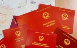 Phát hiện giáo viên mua bằng, chứng chỉ giả của nhiều trường sư phạm