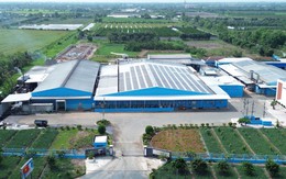 Phát sinh rắc rối từ công văn của cơ quan thi hành án