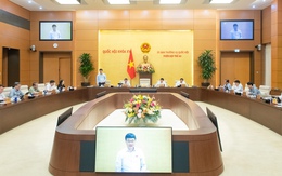 Chính phủ đề xuất miễn tiền thuê đất cho dự án chip bán dẫn, trí tuệ nhân tạo