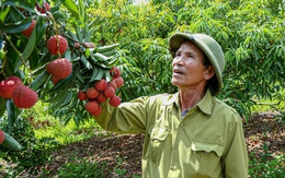 Kiều bào đóng vai trò quan trọng trong việc đưa hàng Việt Nam ra nước ngoài