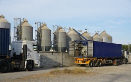 GREENFEED hướng tới tăng trưởng bền vững