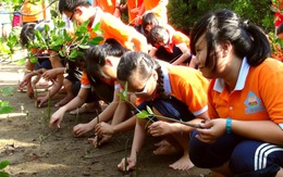 Trách nhiệm trong khát vọng hòa bình