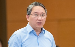 Đề xuất bán xe vi phạm nếu không có nơi bảo quản: Tiền trả cho chủ xe hay nộp ngân sách?