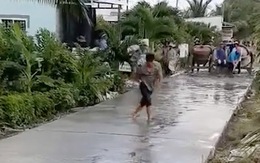 Thợ đổ bê tông chán không muốn nói với 'thần men đại hiệp'