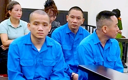 Mua hai bé gái rồi giao cấu, ép bán dâm, chủ quán karaoke Hoàng Gia bị cáo buộc 6 tội danh