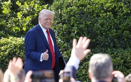 Ông Trump tính nới thuế ô tô để giảm tác động tiêu cực lên ngành xe Mỹ