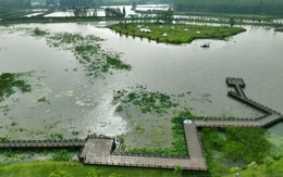 Làm thế nào một làng chài có thể thu hút hơn 300.000 lượt khách mỗi năm?