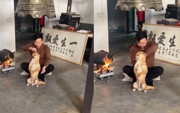 Chú chó ngồi im cho ông chủ truyền nội công