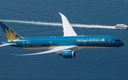 Biểu tượng chim Lạc: Cội nguồn dân tộc và khát vọng vươn mình