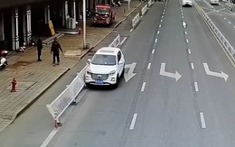 Chó 'lái' ô tô đâm rào chắn