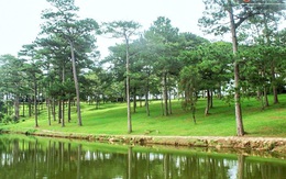 Đất rừng tại danh thắng quốc gia hồ Than Thở bị chiếm?