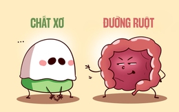 Treo chất xơ bán chất... xổ