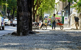 Điểm tên loạt chủ đầu tư, nhà thầu nâng cấp vỉa hè làm hư hại, phải đốn hàng chục cây xanh ở TP.HCM