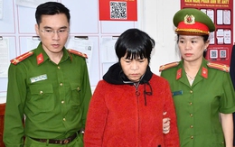 Người mẹ nghi giết con để trục lợi bảo hiểm từng bị phạt 40 tháng tù vì trộm cắp tài sản