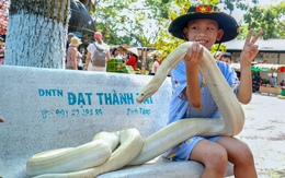 Trại rắn Đồng Tâm trở thành điểm du lịch tiềm năng 5 sao