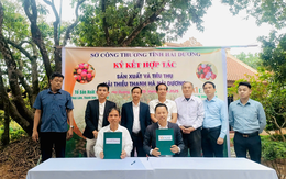 Menas Group ký kết đưa vải thiều Thanh Hà lên phân khúc cao cấp