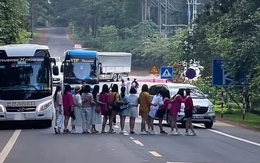 Ảnh vui 8-4: Nhóm du khách được hướng dẫn viên 'bày' sống ảo