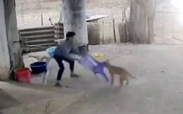 Nam thanh niên tử vong sau 50 ngày bị chó lạ cắn