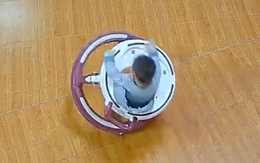 Những lầm tưởng cho trẻ ngồi 'xe tròn tập đi' không phải cha mẹ nào cũng biết