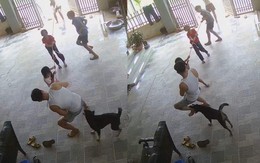 Chú chó chạy lăng xăng báo hại thanh niên kéo co thua